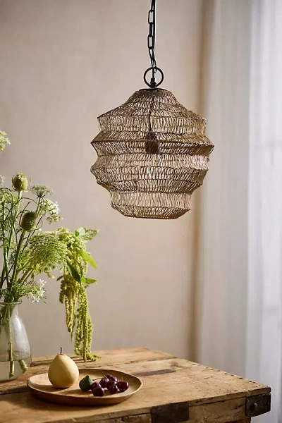 Terrain Wire Mesh Pendant Light In Brown