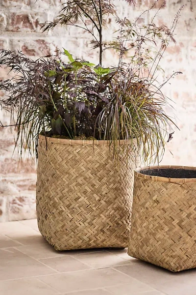 Terrain Woven Bamboo + Fiber Square Base Planter In Beige
