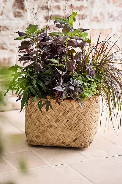 Terrain Woven Bamboo + Fiber Square Base Planter, Low In Neutral