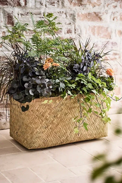Terrain Woven Bamboo + Fiber Trough Planter In Green