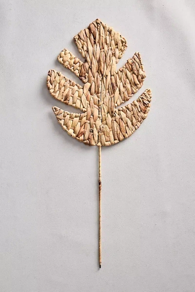 Terrain Woven Leaf Spear In Brown