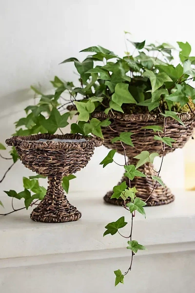 Terrain Woven Scallop Urn In Brown