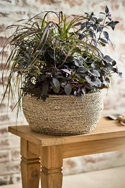 Terrain Woven Seagrass + Fiber Taper Bowl Planter In Neutral