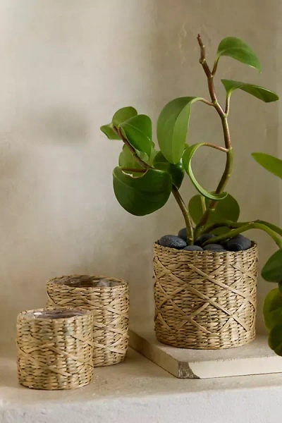 Terrain Woven Seagrass Mini Baskets, Set Of 3