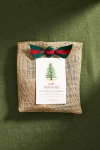 Terrain Yule Tree-to-be Grow Kit In Brown