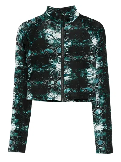 Tessitura Body Couture Snakeskin-print Top In Green