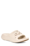 Teva Apretrail Slide Sandal In Birch