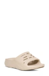 Teva Apretrail Slide Sandal In Birch