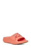Teva Apretrail Slide Sandal In Blooming Dahlia