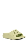 Teva Apretrail Slide Sandal In Seedling