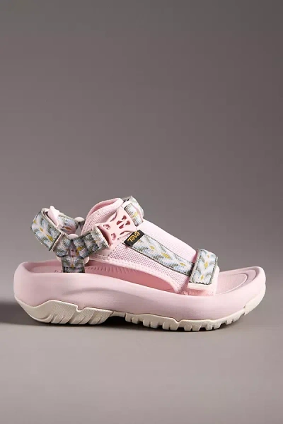 Teva Hurricane Ampsole Volt Sandals In Pink