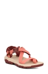 Teva Hurricane Terra Dactyl Sandal In Brown