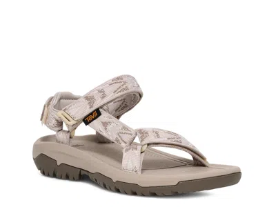 Teva Hurricane Xlt 2 Sandal In Brown