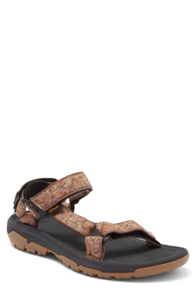 Teva Hurricane Xlt 2 Sandal In Pampas Rainforest Brown