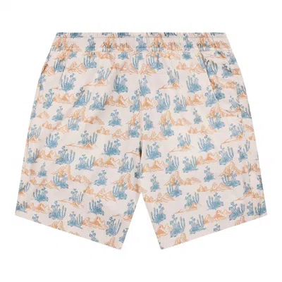 Texas Standard Men's Waterloo Swim Shorts In Softbrush - Tan In Multi