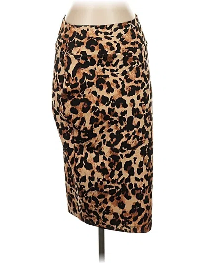 Pre-owned Thalia Sodi Casual Skirt In Brown