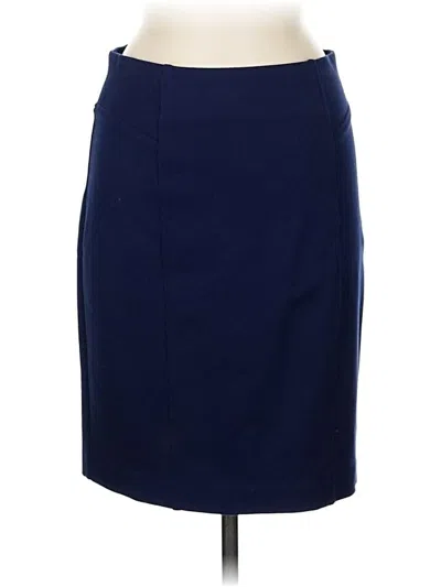 Pre-owned Thalian Formal Skirt In Blue