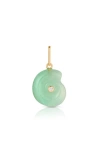 Thatch Nautilus Chrysoprase Charm In Chrysoprase
