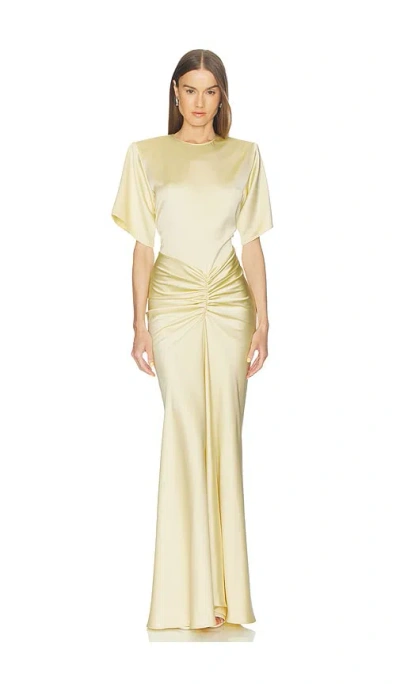 The Andamane Iris Ruched-detail Maxi Skirt In Neutral