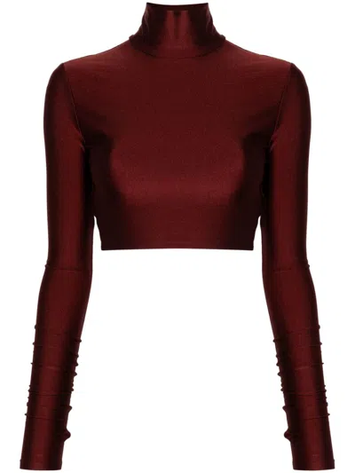 The Andamane Orchid Crop Top In 褐色
