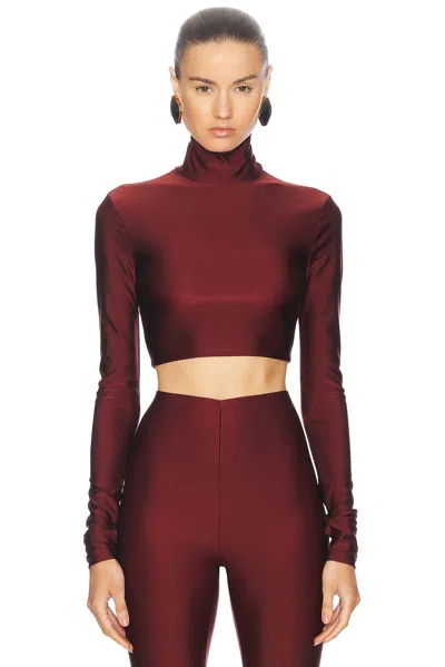 THE ANDAMANE ORCHID CROP TOP