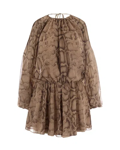 The Andamane Vesta Natural Python Suit In Brown