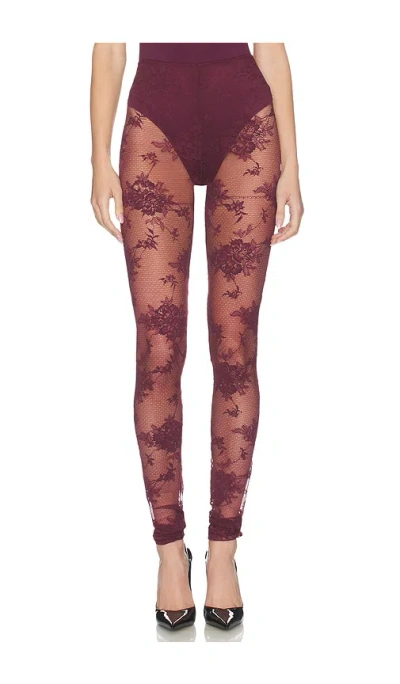 The Andamane Zillah Lace Leggings In Burgundy