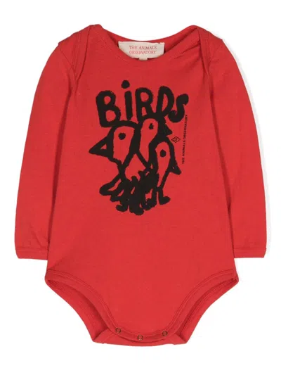 The Animals Observatory Babies' Birds-print Long-sleeve Body In Red