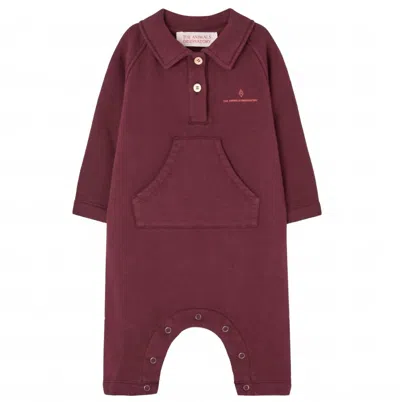 The Animals Observatory Kids' Boy's Rat Jumpsuit In Garnet In Multi