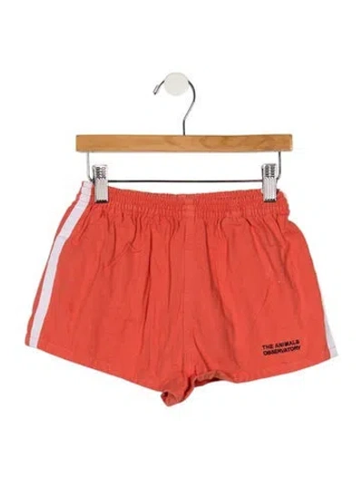 Pre-owned The Animals Observatory Babies' Boys' Solid Shorts In Orange