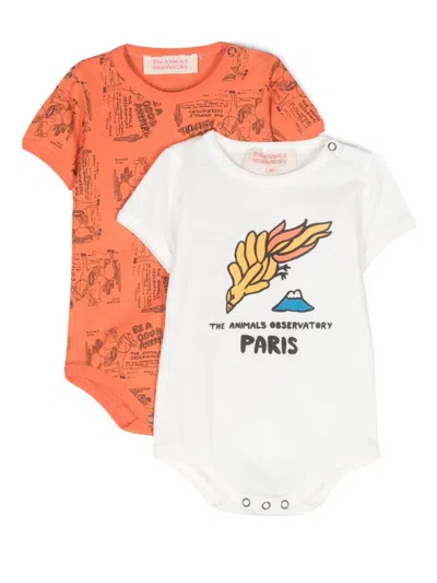 The Animals Observatory Babies' Chimpanzee Cotton Bodysuit (pack Of Two) In Orange