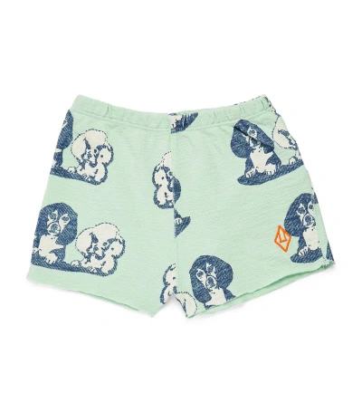 The Animals Observatory Babies' Cotton Dog-print Shorts (6-24 Months) In Turquoise
