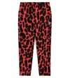 The Animals Observatory Dromedary Cotton Sweatpants In Red