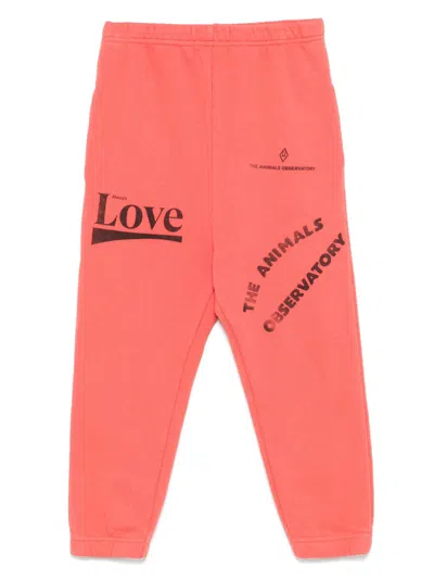 The Animals Observatory Kids' Dromedary Sweatpants In Orange