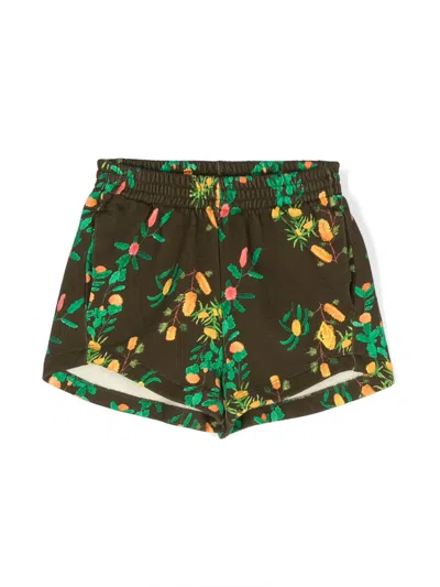 The Animals Observatory Kids' Gardener Cotton Shorts In 褐色
