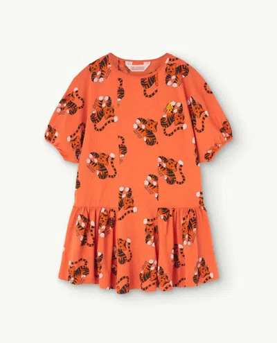 The Animals Observatory Kids' Girl's Walrus Dress In Orange