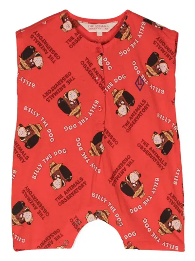 The Animals Observatory Babies' Goose Illustration-print Shorties In Red