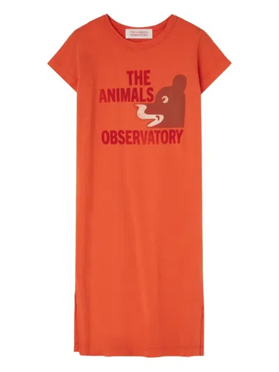 The Animals Observatory Kids' Gorilla Graphic T-shirt Dress In Orange