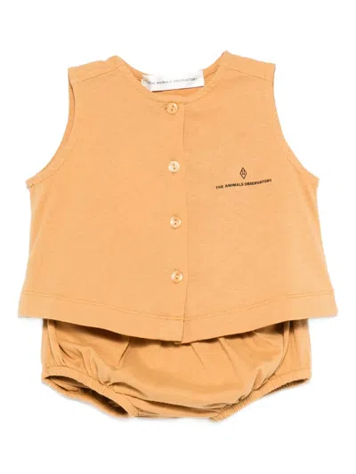 The Animals Observatory Babies' Graphic-print Shorts Set In Brown