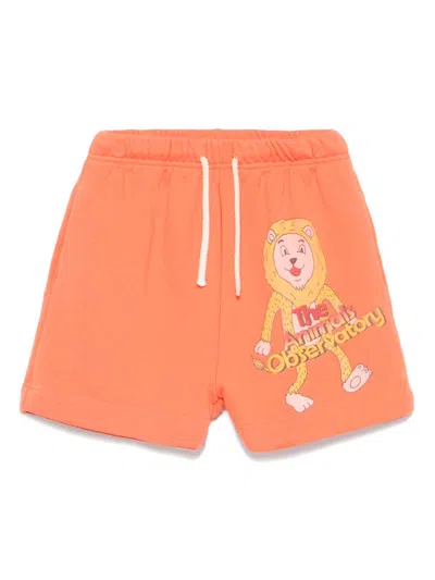 The Animals Observatory Kids' Hedhegog Shorts In Orange