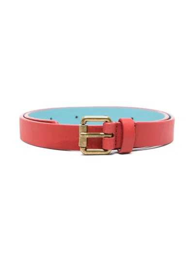 The Animals Observatory Kids' Ibis Leather Belt In Red