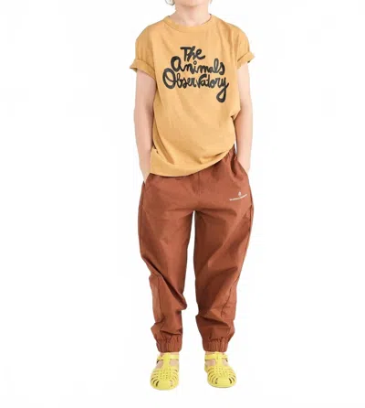 The Animals Observatory Kid's Rooster Short Sleeve Tshirt In Camel In Brown