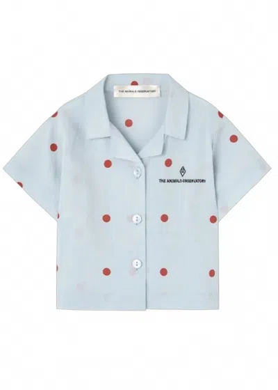 The Animals Observatory Kid's Saola Baby Shirt In Blue