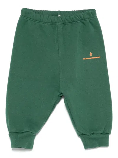 The Animals Observatory Babies' Logo-print Sweatpants In Green