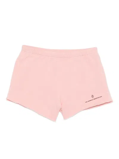 The Animals Observatory Babies' Logo-print Shorts In Pink