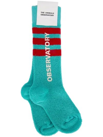 The Animals Observatory Kids' Logo-print Socks In Green