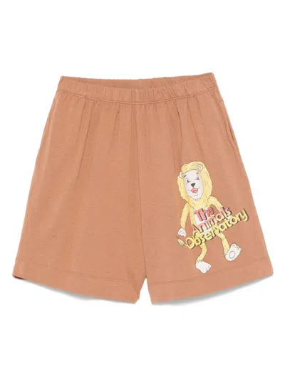 The Animals Observatory Kids' Mole Shorts In Brown
