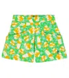 The Animals Observatory Bedruckte Shorts Monkey Aus Baumwolle In Green