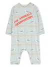 The Animals Observatory Owl Seagulls-print Shorties In Blue