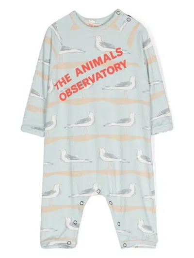 The Animals Observatory Babies' Owl Seagulls-print Shorties In Blue